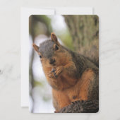 Fluffkin Einladung (Vorderseite)