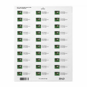 Fluffy Adorable Dartmoor Pony (Vorne)