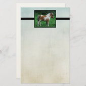 Fluffy Adorable Dartmoor Pony Briefpapier (Vorne/Hinten)