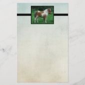 Fluffy Adorable Dartmoor Pony Briefpapier (Vorderseite)