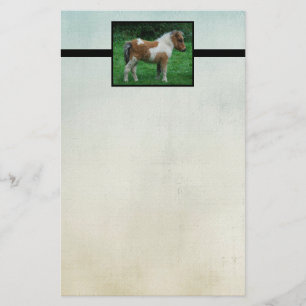 Fluffy Adorable Dartmoor Pony Briefpapier
