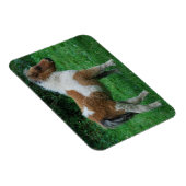 Fluffy Adorable Dartmoor Pony Magnet (Rechte Seite)