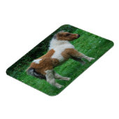 Fluffy Adorable Dartmoor Pony Magnet (Linke Seite)