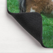 Fluffy Adorable Dartmoor Pony Mousepad (Ecke)