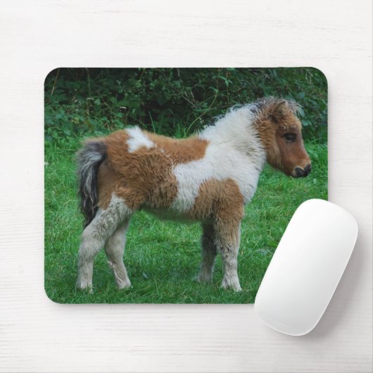 Fluffy Adorable Dartmoor Pony Mousepad (Mit Mouse)