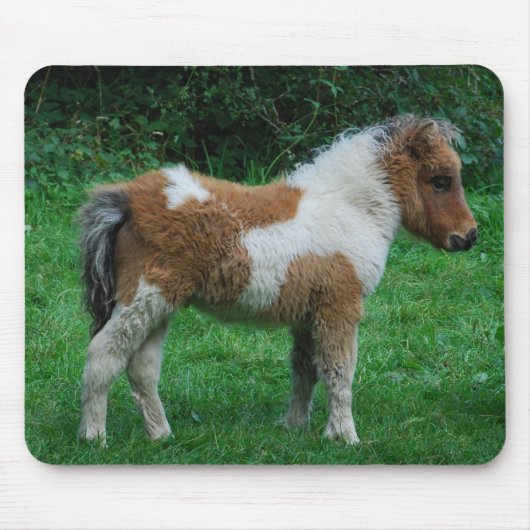 Fluffy Adorable Dartmoor Pony Mousepad (Vorne)