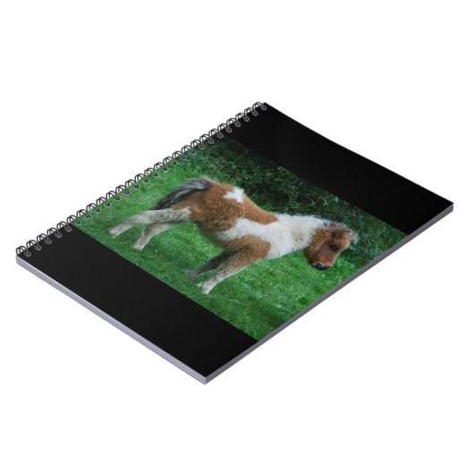 Fluffy Adorable Dartmoor Pony Notizblock (Linke Seite)