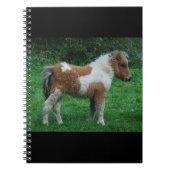 Fluffy Adorable Dartmoor Pony Notizblock (Vorderseite)