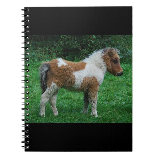 Fluffy Adorable Dartmoor Pony Notizblock (Vorderseite)
