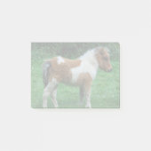 Fluffy Adorable Dartmoor Pony Post-it Klebezettel (Vorderseite)