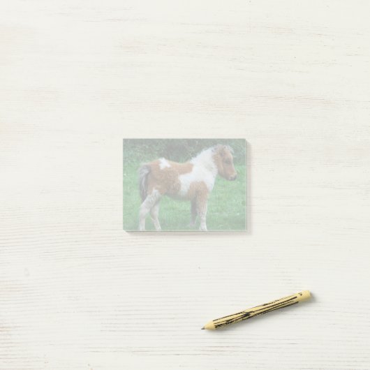 Fluffy Adorable Dartmoor Pony Post-it Klebezettel (Auf Schreibtisch)