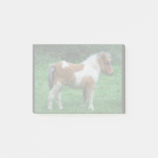 Fluffy Adorable Dartmoor Pony Post-it Klebezettel (Vorderseite)