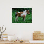 Fluffy Adorable Dartmoor Pony Poster (Küche)