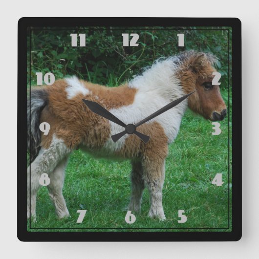 Fluffy Adorable Dartmoor Pony Quadratische Wanduhr (Vorderseite)