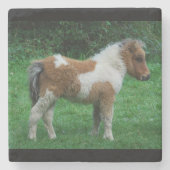 Fluffy Adorable Dartmoor Pony Steinuntersetzer (Vorderseite)