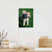 Fluffy Airedale Welsh Terrier Type Doppy Welpe Poster (Küche)