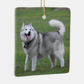 Fluffy Alaskan Malamute Dog Keramikornament (Rechts)