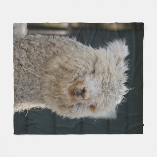 Fluffy Alpaca Fleecedecke (Vorderseite (Horizontal))