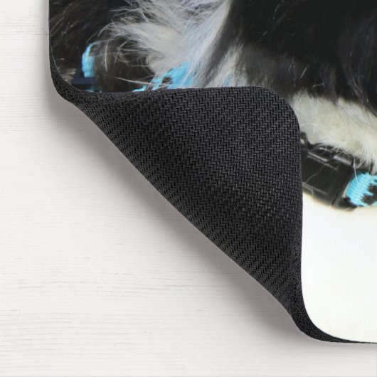 Fluffy Black and White Lionhead Bunny Rabbit Mousepad (Ecke)