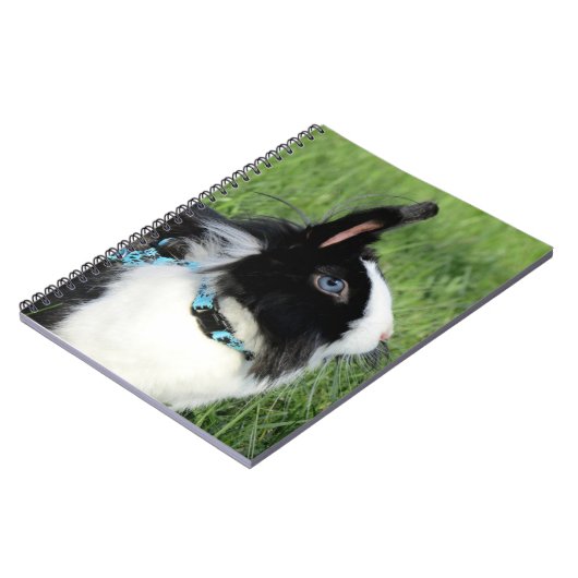 Fluffy Black and White Lionhead Bunny Rabbit Notizblock (Linke Seite)