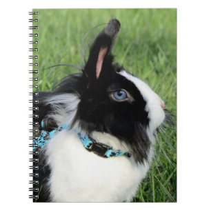Fluffy Black and White Lionhead Bunny Rabbit Notizblock