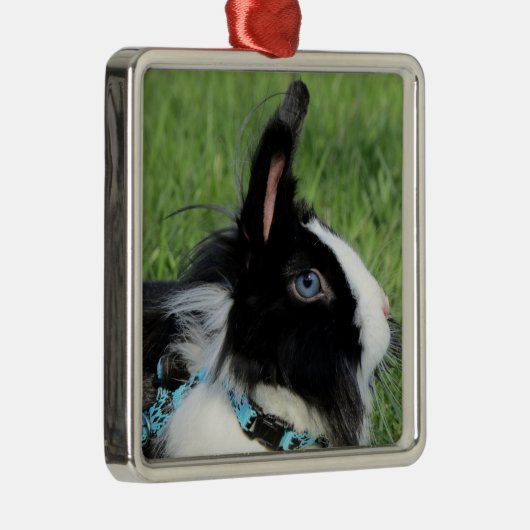 Fluffy Black and White Lionhead Bunny Rabbit Ornament Aus Metall (Rechts)