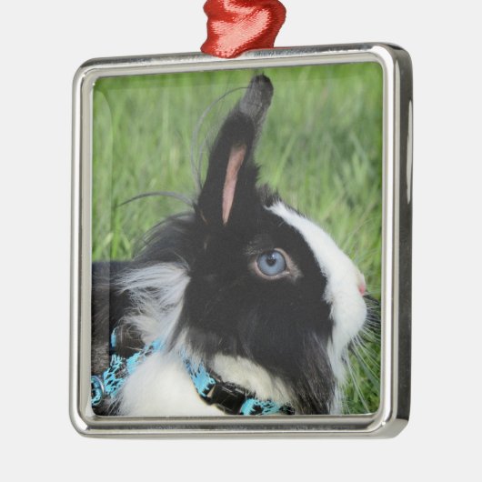 Fluffy Black and White Lionhead Bunny Rabbit Ornament Aus Metall (Links)