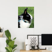 Fluffy Black and White Lionhead Bunny Rabbit Poster (Heimbüro)