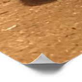 Fluffy Black Kitten Poster (Ecke)