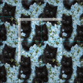 Fluffy Black Kittens & Blume Nahtloses Muster Stoff (Kachel)