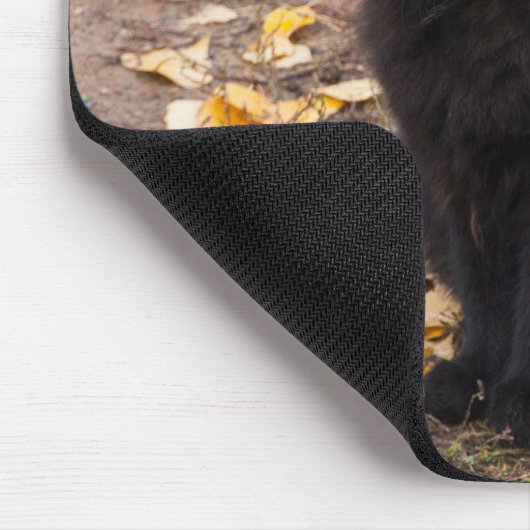 Fluffy Black Kitty und Autumn Leaves Mousepad (Ecke)