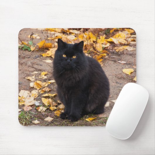 Fluffy Black Kitty und Autumn Leaves Mousepad (Mit Mouse)