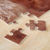 Fluffy Brown Dog Puzzle (Seite)
