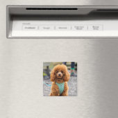 Fluffy Brown Poodle Puppy Dog Magnet (In Situ (Geschirrspüler))