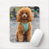 Fluffy Brown Poodle Puppy Dog Mousepad (Mit Mouse)