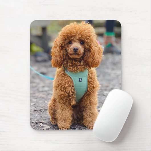 Fluffy Brown Poodle Puppy Dog Mousepad (Mit Mouse)