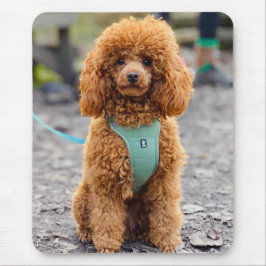 Fluffy Brown Poodle Puppy Dog Mousepad