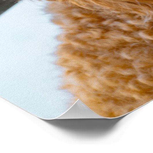 Fluffy Brown Poodle Puppy Dog Poster (Ecke)