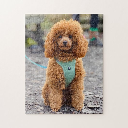 Fluffy Brown Poodle Puppy Dog Puzzle (Vertikal)