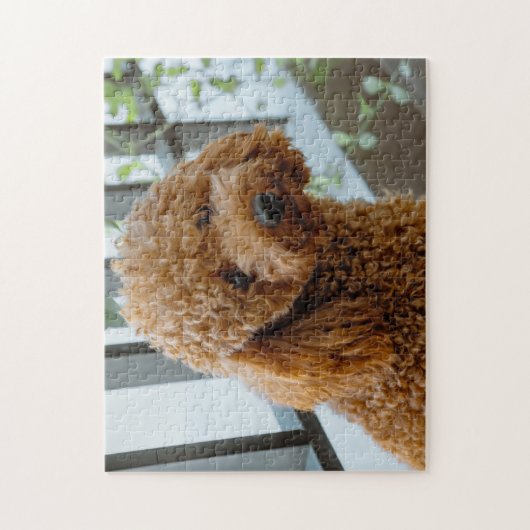 Fluffy Brown Poodle Puppy Dog Puzzle (Vertikal)