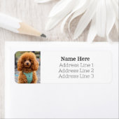 Fluffy Brown Poodle Puppy Hund Rücksendeadresse (Insitu)