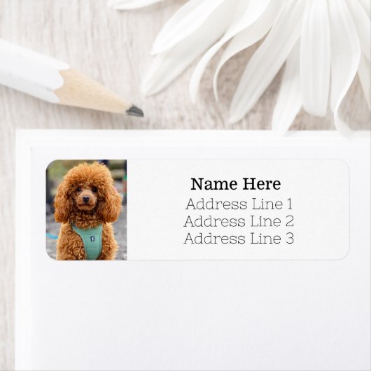 Fluffy Brown Poodle Puppy Hund Rücksendeadresse (Insitu)