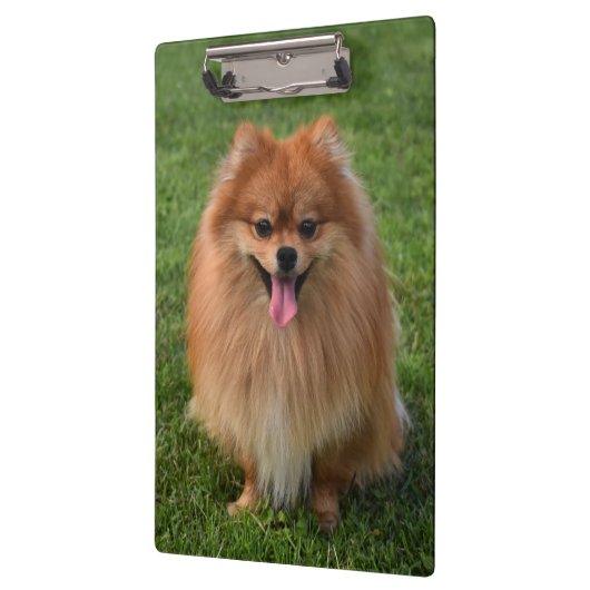 Fluffy Brown Spitz Puppy Dog Klemmbrett (Links)