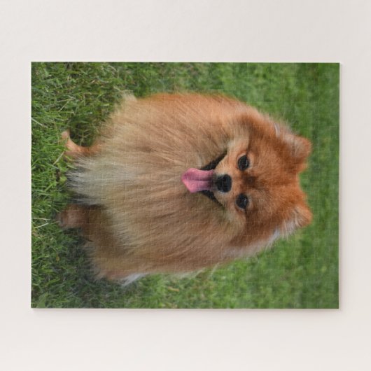 Fluffy Brown Spitz Puppy Dog Puzzle (Horizontal)