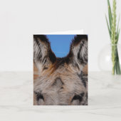 Fluffy Burro - Dankeschön-Karte Karte (Vorderseite)