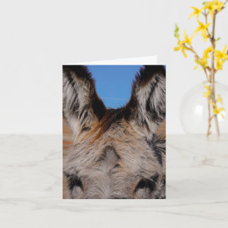 Fluffy Burro - Dankeschön-Karte Karte