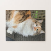 Fluffy Calico Kitty Cat Puzzle (Horizontal)