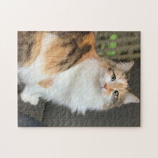 Fluffy Calico Kitty Cat Puzzle (Horizontal)