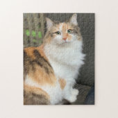 Fluffy Calico Kitty Cat Puzzle (Vertikal)