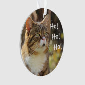 Fluffy Cat Christmas Niedlich Ornament (Vorderseite)